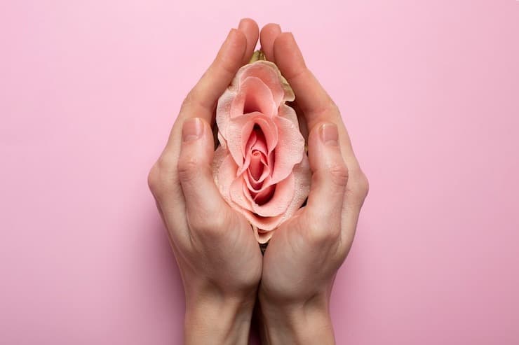 Vaginoplasty and Labiaplasty: Your Guide to Feminine Rejuvenation